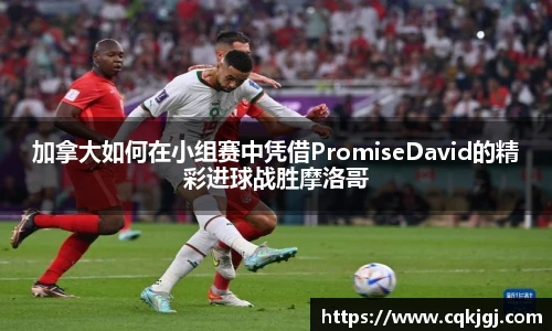 加拿大如何在小组赛中凭借PromiseDavid的精彩进球战胜摩洛哥